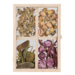 Flower & Herb Compartmental Floating Frame, Wood/Glass