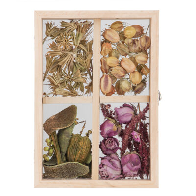 Flower & Herb Compartmental Floating Frame, Wood/Glass