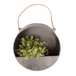 Old Zinc Round Wall Planter - Medium