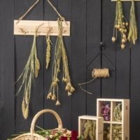 Dried Flowers & Herbs