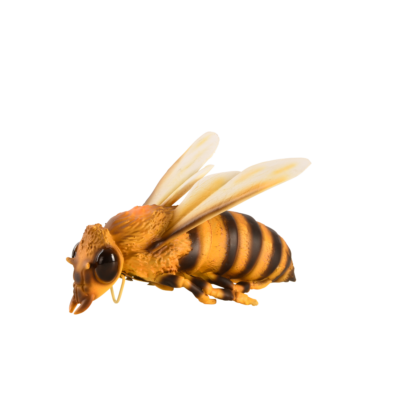 Bee, Resin