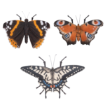 Butterflies, 3 Asst. Styles, Resin