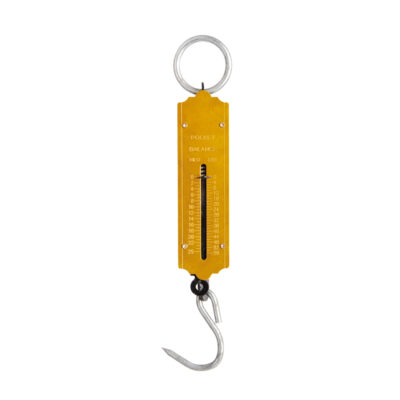 Spring Scale