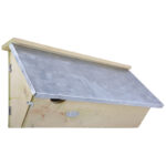Common Swift Nesting Box, Wood