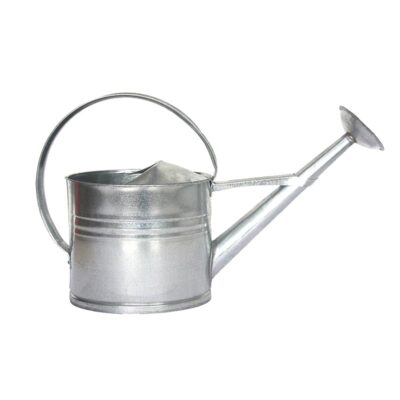 Old Zinc Watering Can, 7.35 L - Medium