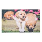 Puppies Doormat, Recycled Rubber
