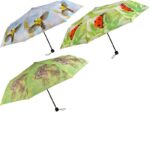 Spring Print Umbrella, 2 Asst. Styles