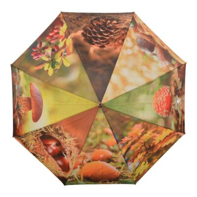 Autumn Umbrella