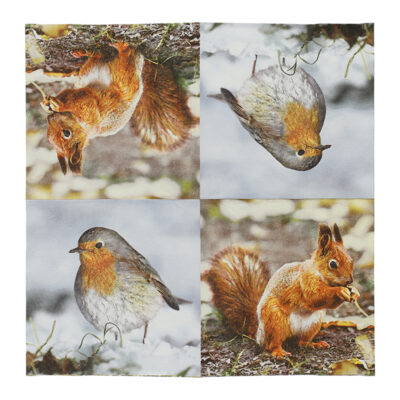 Pack of 20 Robin/Squirrel Napkins