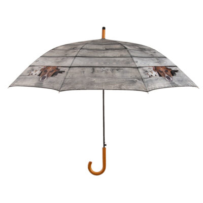 Dog & Cat Peek-A-Boo Umbrella