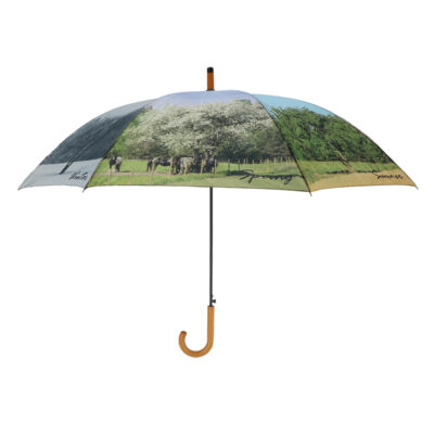4 Seasons Umbrella