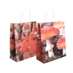 Toadstool/Leaf Bag, Paper, 2 Asst. Styles
