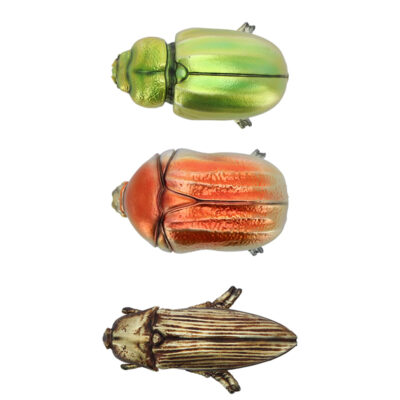 Beetle, Resin, 3 Asst. Styles - Small