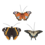 Butterflies, Resin, 3 Asst. Styles - Small