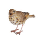 Song Thrush, Resin