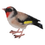 European Goldfinch, Resin