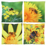 Outdoor Cushion Bee, 4 Asst. Styles - Large