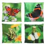 Outdoor Cushion Butterfly, 4 Asst. Styles - Small