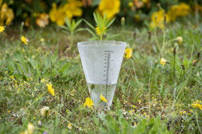 Rain Gauge, Plastic