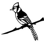 Blue Jay Tree Pinch, Metal, Black