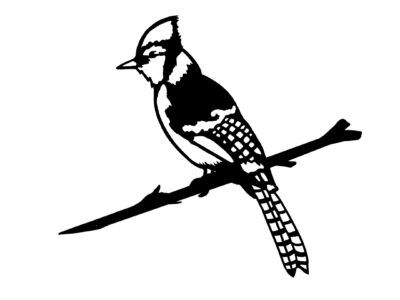 Blue Jay Tree Pinch, Metal, Black