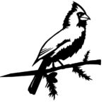 Cardinal Tree Pinch, Metal, Black