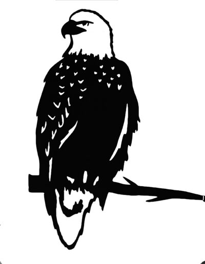 Eagle Tree Pinch, Metal, Black