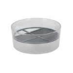 Sprouting Tray