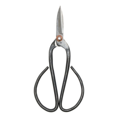 Bonsai Secateurs - Large