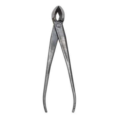 Bonsai Concave Tongs