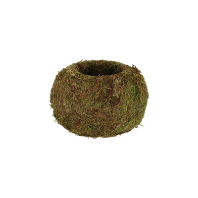 Kokedama Ball - Medium