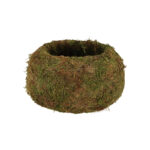 Kokedama Ball - Large