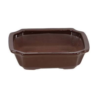 Rectangular Bonsai Pot - Medium