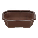 Rectangular Bonsai Pot - Large