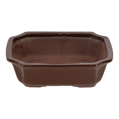 Rectangular Bonsai Pot - Large