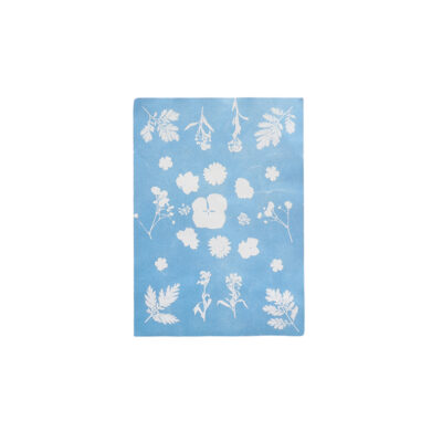Cyanotype Solar Drawing Paper - Small