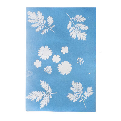 Cyanotype Solar Drawing Paper - Large