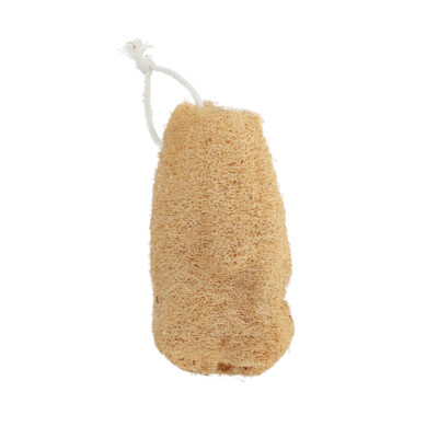 Loofah Sponge