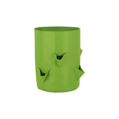 Strawberry Grow Bag, Green
