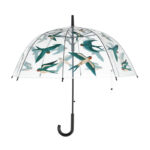 Barn Swallow Transparent Umbrella