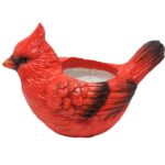 Cardinal Planter, MGO