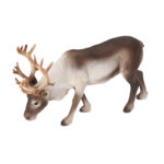 Reindeer, Resin