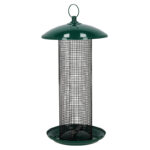 High Volume Nut Feeder