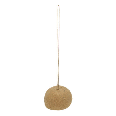 Suet Ball on Rope