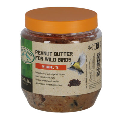 Fruit Peanut Butter for Birds