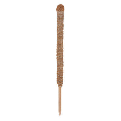 Coir Plant Support - Small