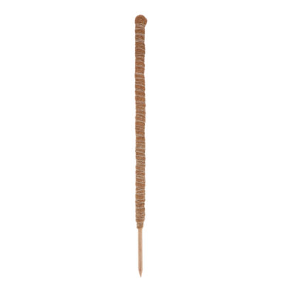 Coir Plant Support - Large