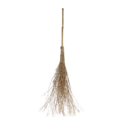 Children's Witches Broom, Bamboo