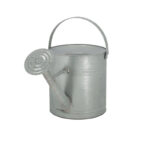Old Zinc Rain Collecting Watering Can