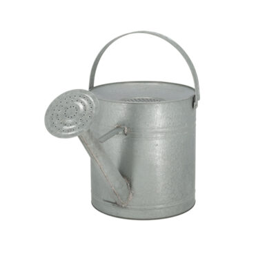 Old Zinc Rain Collecting Watering Can